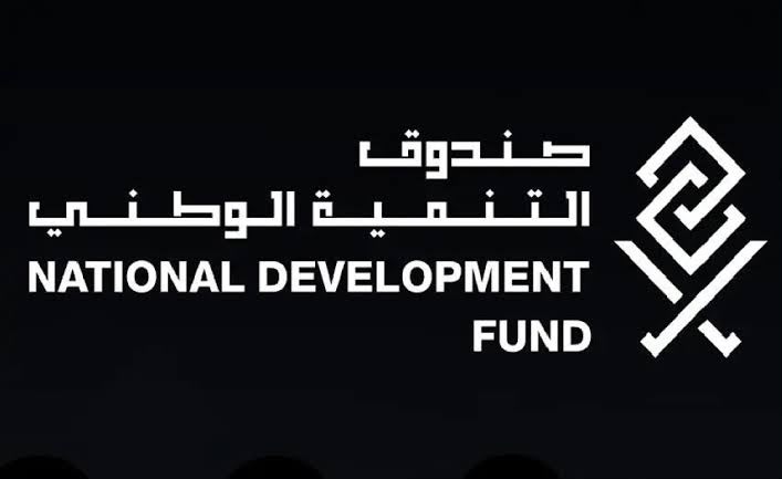 صندوق التنمية الوطنية